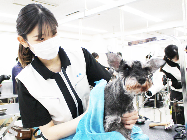 シャンプーの技術を確認♪